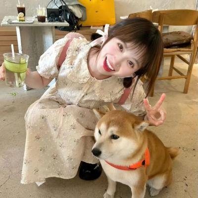 柏油探戈